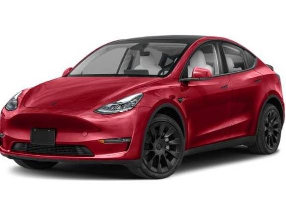 TESLA MODEL Y 2024 7SAYGDED1RF207256 image